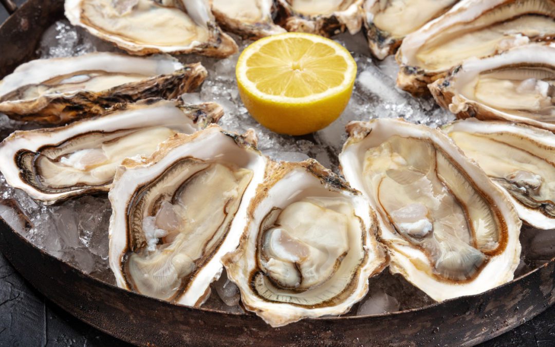 Oysters Contaminated with Norovirus