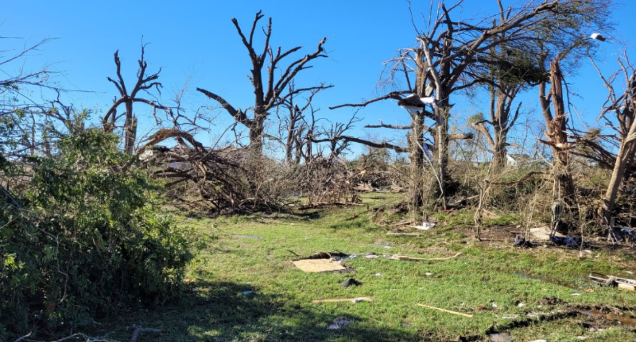 Tornadoes Caused $13M in Timber Damage
