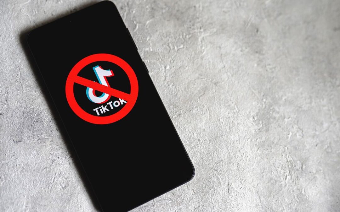 Other Countries Pursue TikTok Bans