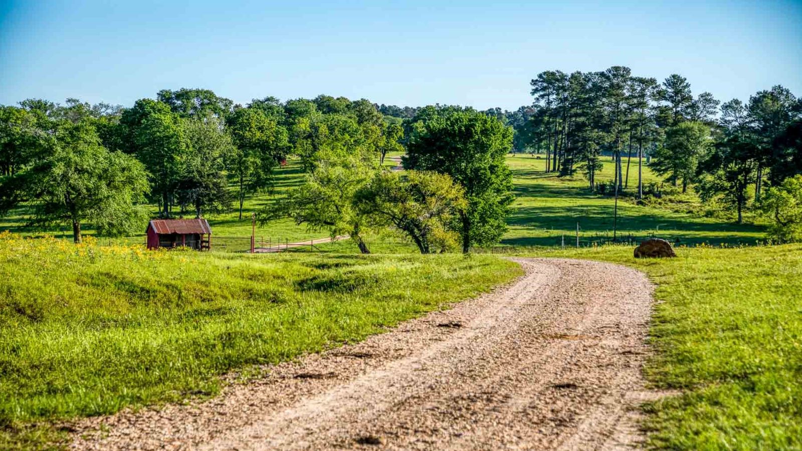 A view from a dirt road on the 7-D Ranch.