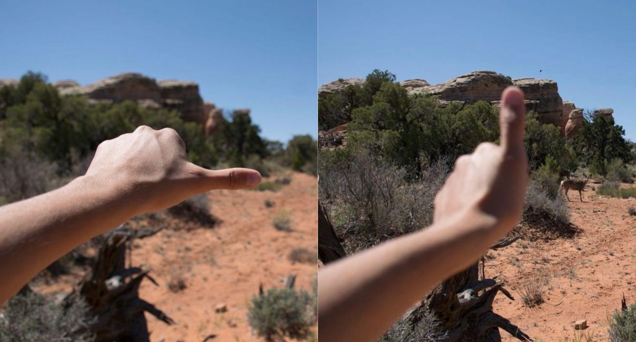 As a rule of thumb, it’s always good to stay at least 25 feet away from wildlife. ?