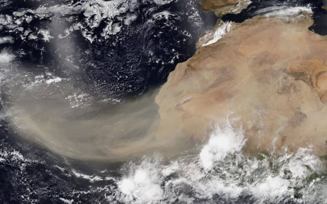 VIDEO: Saharan Dust To Arrive in Texas