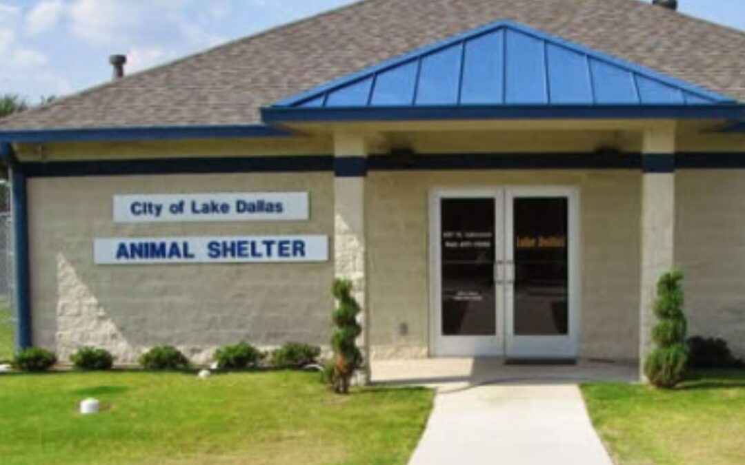 Local Animal Shelter Targeted by Scammers