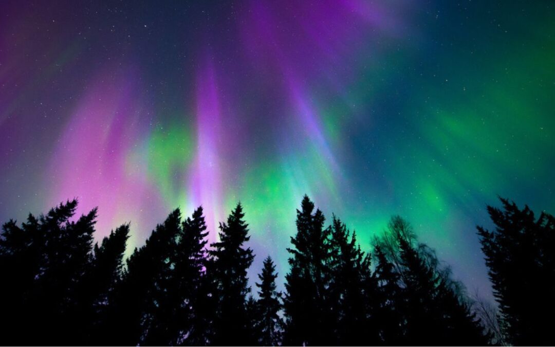 Forecast Dashes Hopes of Aurora Borealis Show