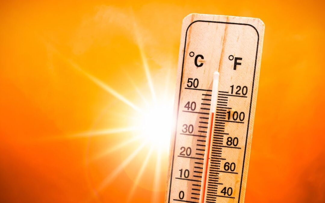 VIDEO: July Officially the Hottest Month on Record