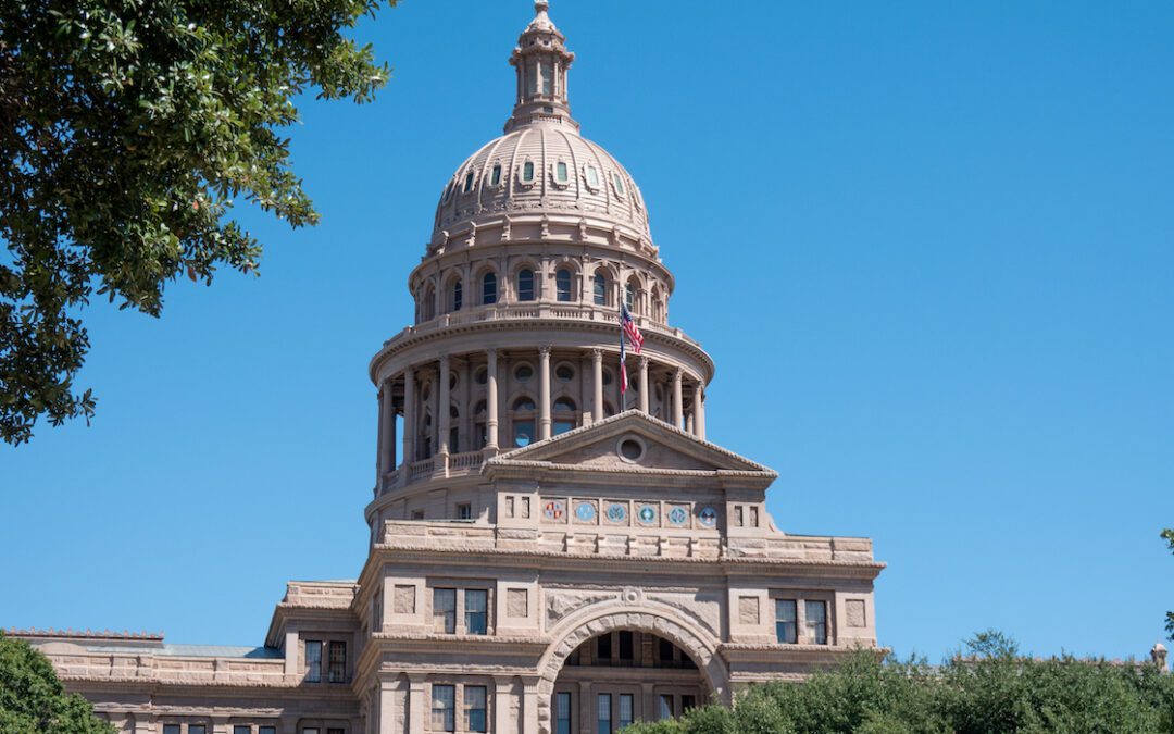 High Stakes for TX House Reps Against School Choice