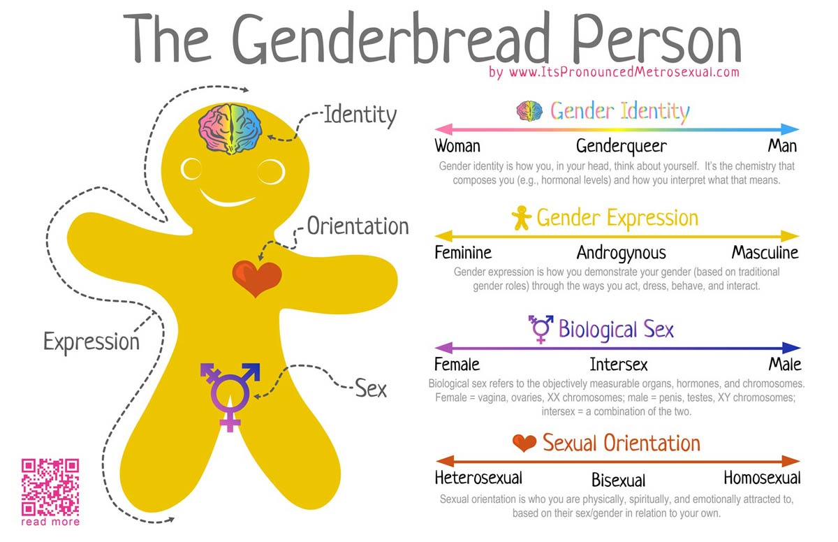 2011-genderbread-person-sam-killermann-version-1