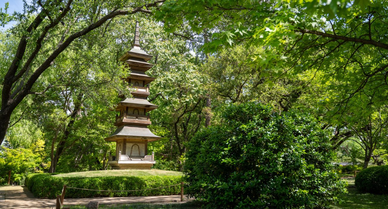 Bridge in Fort Worth Japanese Garden
