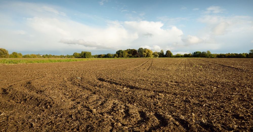 Feds Attempt to Grab More Private Land in Texas