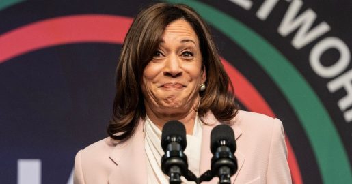 Harris in the Hot Seat: ‘Horrible & Incompetent Border Czar’