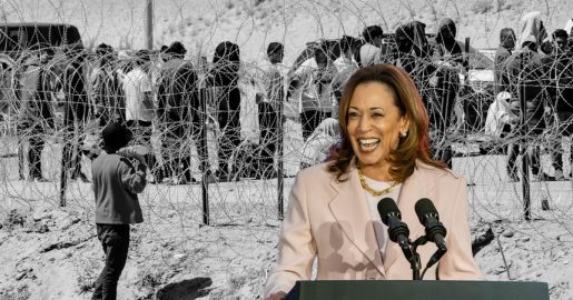 U.S. House Unleashes Stinging Resolution Against Kamala Harris for Border Czar Blunders