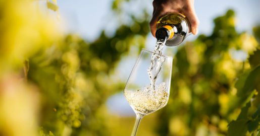 Is Moderate Drinking Good for You?