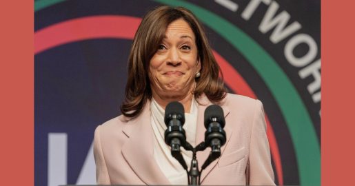 Harris Blasted By Dem Lawmaker For Relying On Celebrity Endorsements: ‘No One Cares’