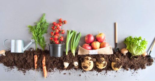 Nutritionist Shares Diet Tips for Those That Need More Energy