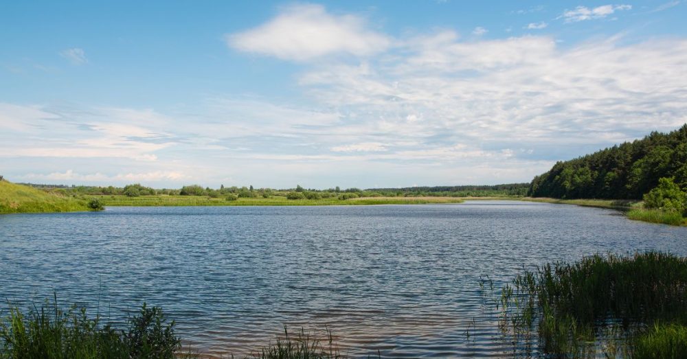 21-Year-Old Man Dies Trying To Rescue Distressed Teen From Lake Waxahachie