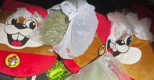 Traffic Stop Yields Ecstasy, Marijuana Hidden In Buc-ee’s Plushies