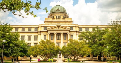 Texas A&M Unveils DEI Course for Fall 2024