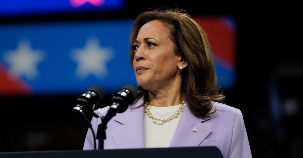 Harris Dodges Record In DNC Speech