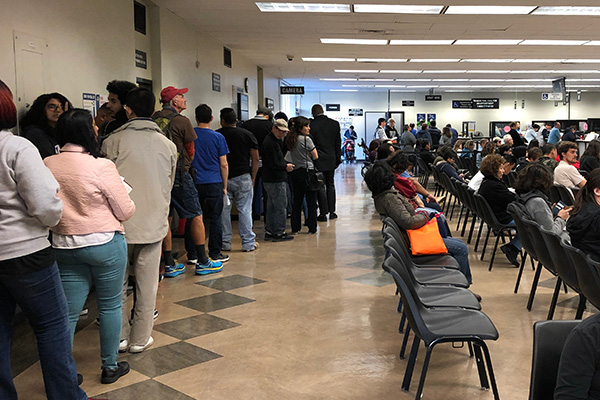 Are Illegal Aliens Getting Licenses, Registering To Vote In Parker County?