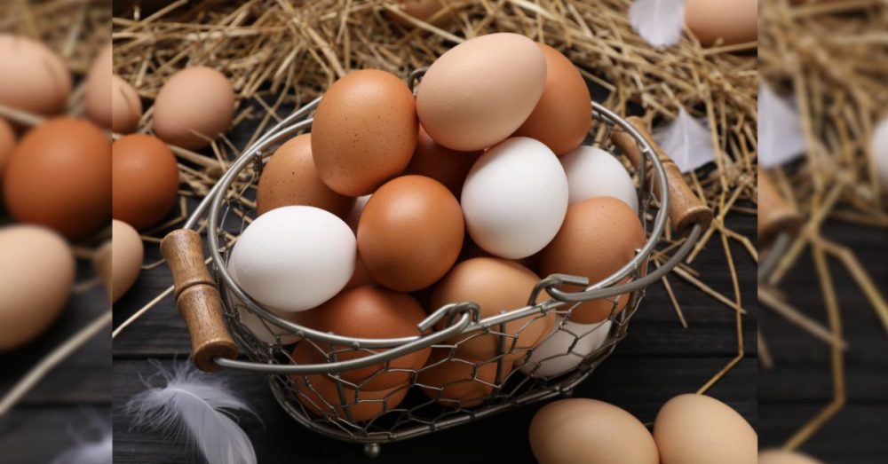 The Rising Cost Of Eggs Adds To The Burden Of Daily Staples Becoming Too Expensive