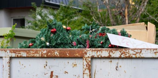 Woman Discovers Holiday Joy And Savings Through Dumpster Diving