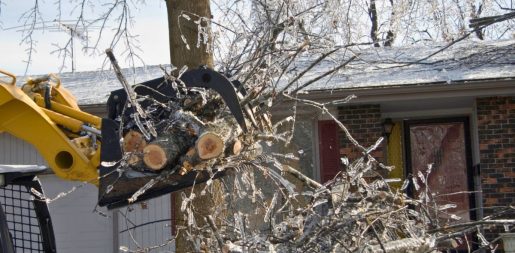 Governor Abbott Urges Texans To Report Winter Weather Damages