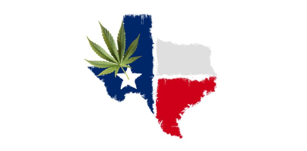 Texas Agriculture Commissioner Sid Miller Calls For Clearer Cannabis Laws