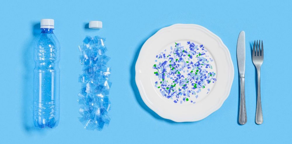 Plastic Shards May Be Increasing In Human Brains