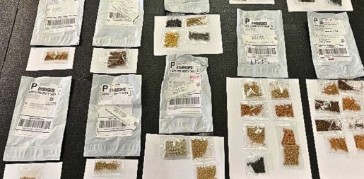 State Officials Warn Of Unsolicited Plant Seeds In The Mail